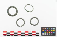 Foto von Bronzering (NHMW-PRAE-023684)